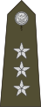 Rotmistrz (Polish Land Forces)[12]