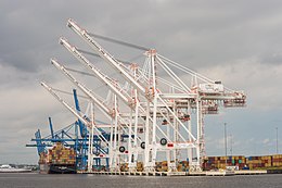 Vue des grandes grues blanches du port de Baltimore.