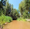 Adaja River near Arevalo