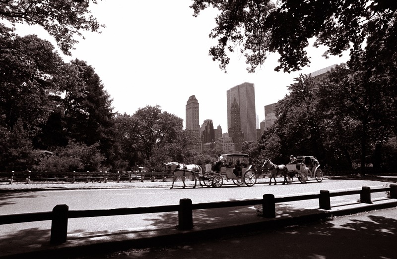 File:A ride in Central Park 1989.tif