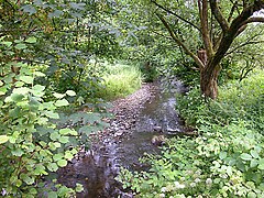 Itter bei Breidenmühle