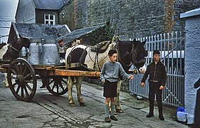 Irish boys and milk cart in 1962