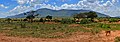 Tsavo East, Kenya Tengnga