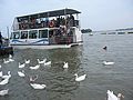 Tourists at Upper Lake.