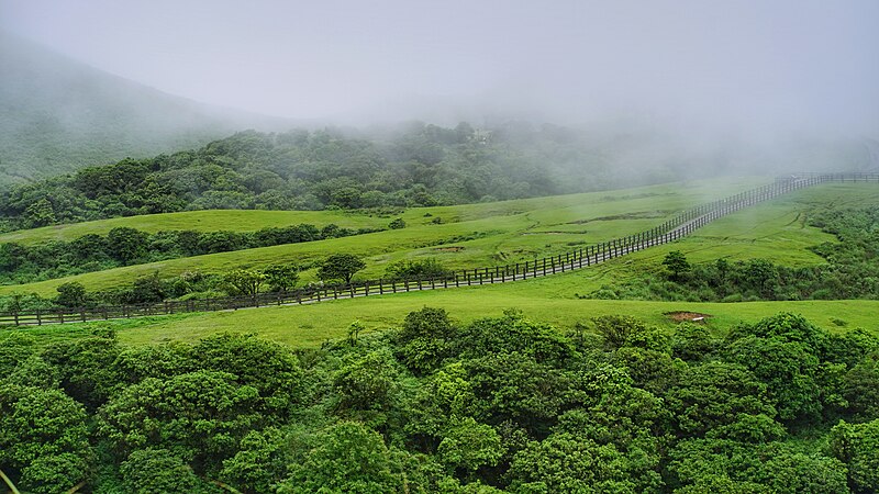 File:Yamingshan National Park-Jerry Shen-02.jpg