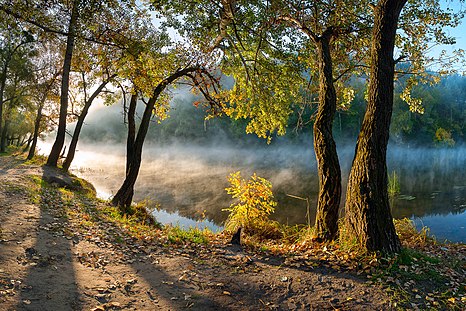 Druhé místo: Národní přírodní park Svaté Hory (Святі Гори), Doněcká oblast, Ukrajina – Attribution: Balkhovitin (License: CC BY-SA 3.0)