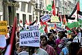 Image 10A demonstration in Madrid for the independence of Western Sahara (from Western Sahara)