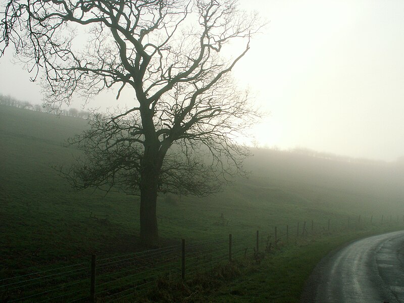 File:A December view of Woodnook Valley, Little Ponton, Lincolnshire, England 12.JPG