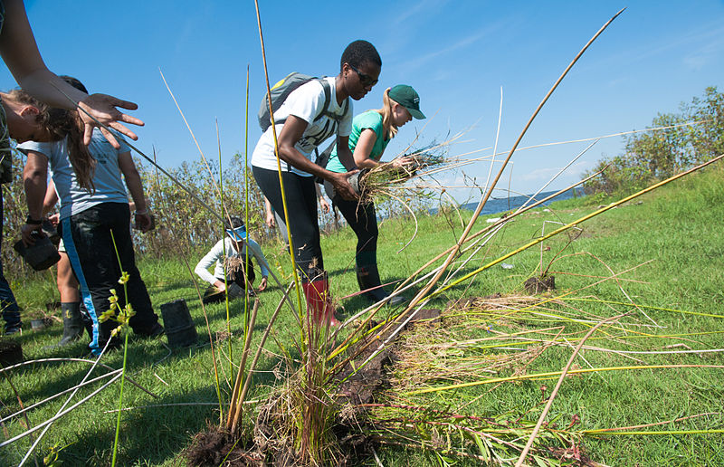 File:Coastal Restoration-89 (10024325035).jpg