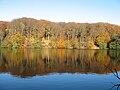 Herthasee mit der Herthaburg (im Wald), von Süden aus gesehen