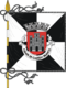 Flagge des Concelhos Castelo Branco