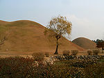 Grafheuvels van de Silla in Gyeongju, Zuid-Korea