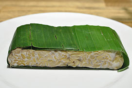 Tempeh 001.jpg