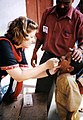 Polio vaccination, India