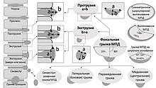 Типы грыжевых выпячиваний МПД