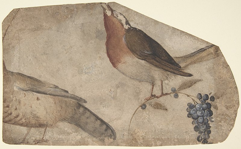 File:Bird Eating Grapes (recto); Tigress (verso) MET DP809962.jpg