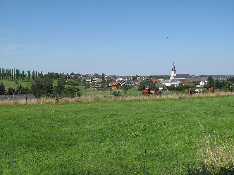 File:Hontheim, dorpszicht foto2 2009-08-05 14.28.JPG