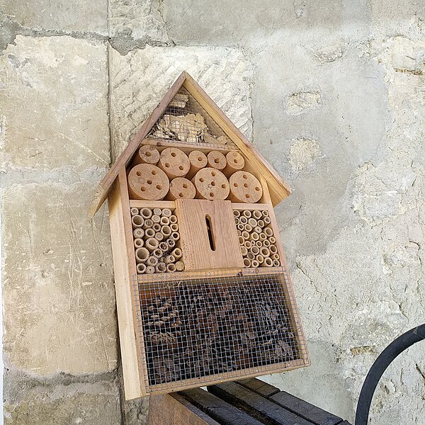 File:Hotel des insectes - Brouillet - Marne - France.jpg