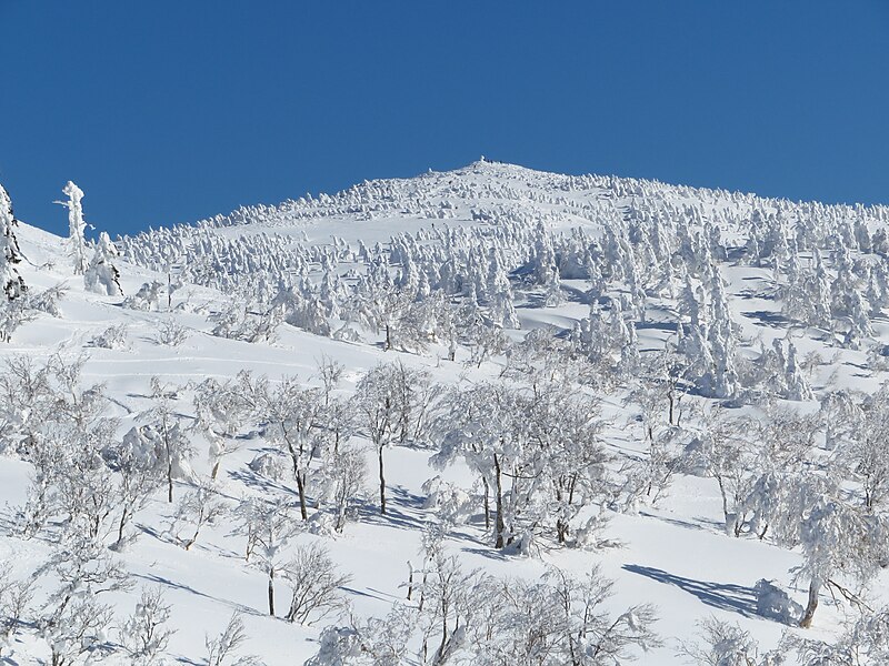 File:Mount Moriyoshi in winter.jpg