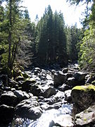 The Rogue River flowing through the Avenue of the Giant Boulders at the Prospect State Scenic Viewpoint