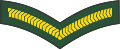 Lance corporal (Barbados Regiment)[25]