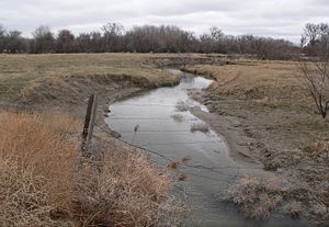 Small creek running through sandy channel toward line of trees