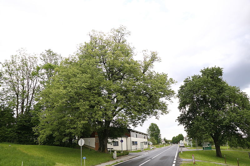 File:ID 629 Bei Schadendorf a.JPG