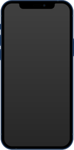 iPhone 12 in Blau