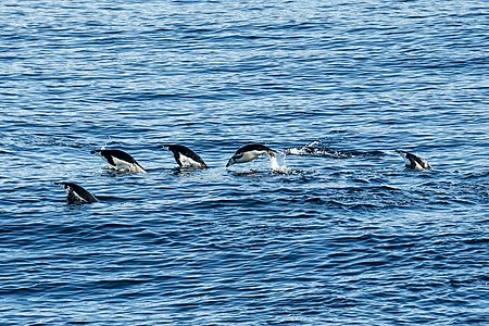 Deception Island