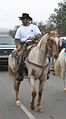 Bien qu'il soit très proche d'un aubère, ce cheval marmoré est rattaché au groupe des chevaux à complexe léopard