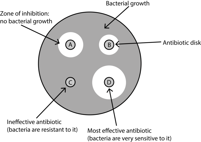 File:Zones of Inhibition.png