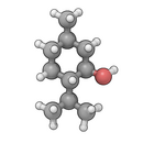 分子模型