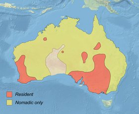 Distribution map of the Pink-eared Duck