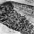 Image 9The bodies of the dead lie awaiting burial in a mass grave at the camp. (Bergen-Belsen concentration camp)