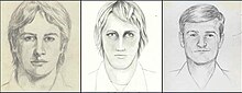 Sketch of the golden state killer