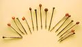 Amber-head pins