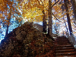 Franz Joseph Cliffs: the main lookout rock