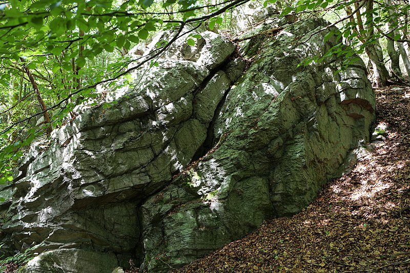 File:Taunus near Fuchsstein 2020-08-18 11.jpg