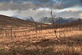 Oktober 2012: Nakkedalen in der Fylke Troms