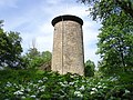 Naturwaldreservat Ruine Reichenbach