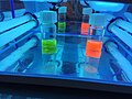 quantum dots under UV