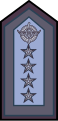 Argentina: Brigadier general