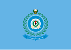 Flag of the United Arab Emirates Air Force