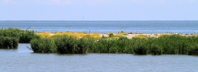 File:Lagune tra Po di Goro e Po di Gnocca - panoramio (1).jpg