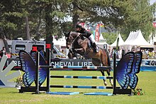 Gros plan sur une cavalière et sa monture franchissant un obstacle de volée pendant un concours.