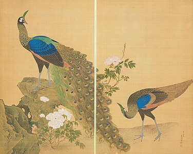 Peony and Peacocks, Maruyama Ōkyo