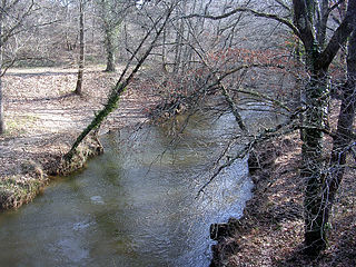 La Grande Leyre, à Moustey