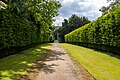 * Nomination Yew-lined avenue at Ascott House --Mike Peel 07:40, 5 November 2024 (UTC) * Promotion  Support Good quality. --A. Öztas 20:40, 5 November 2024 (UTC)