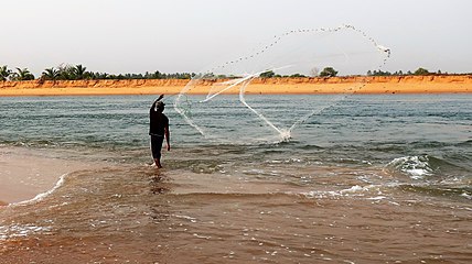 Fisherman in the Bouche du Roi area.