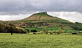 a fastigiate hill